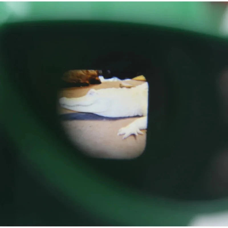 ! Optivaro Retro 3D Viewfinder – Educatieve Dia Kijken voor Kinderen